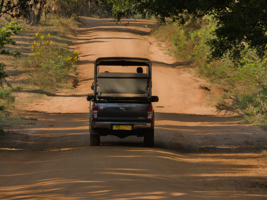 Airport Transfer Service