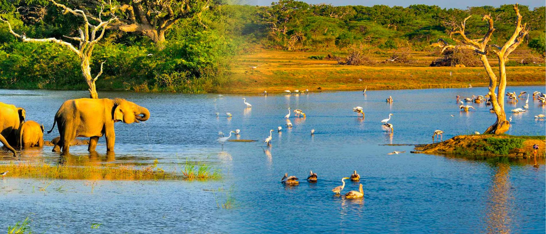 Bundala National Park